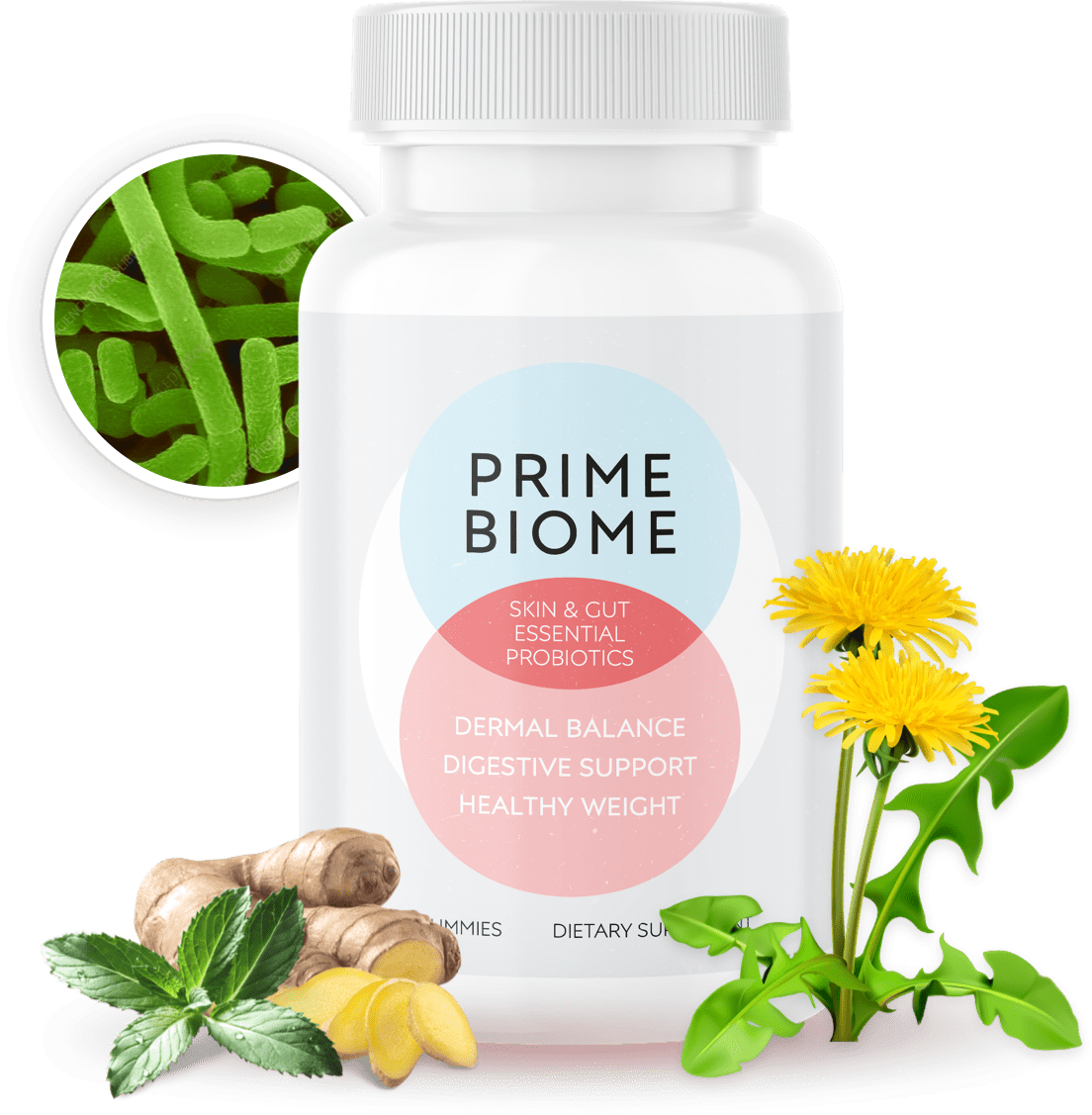 Prime Biome Supplement Prime Biome Supplement